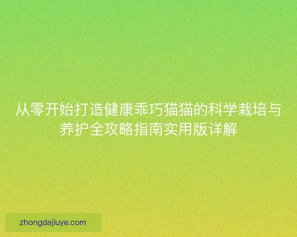 从零开始打造健康乖巧猫猫的科学栽培与养护全攻略指南实用版详解