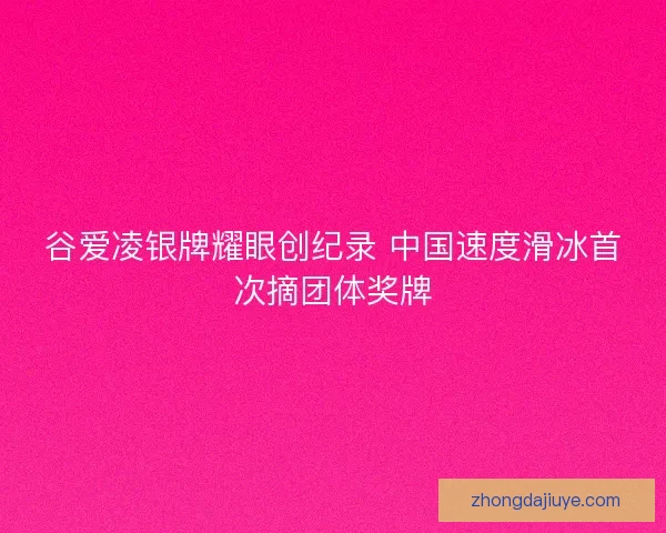 谷爱凌银牌耀眼创纪录 中国速度滑冰首次摘团体奖牌