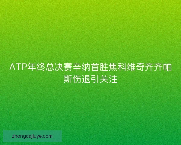ATP年终总决赛辛纳首胜焦科维奇齐齐帕斯伤退引关注