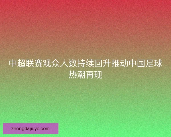 中超联赛观众人数持续回升推动中国足球热潮再现